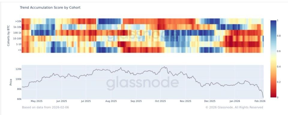 BTC is seeing accumulation across all cohorts, according to Glassnode