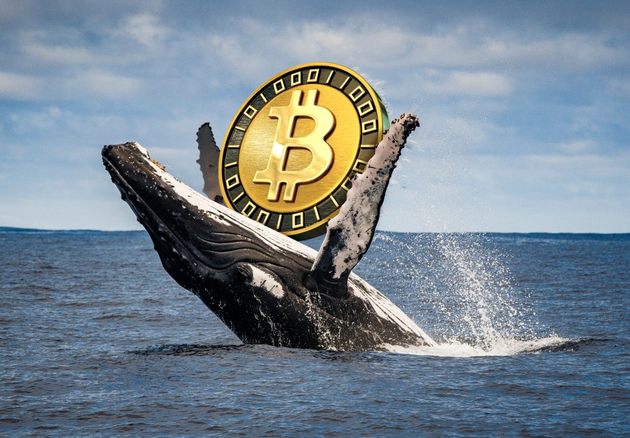 Bitcoin briefly tumbles below $75K, but these investors see a buying opportunity