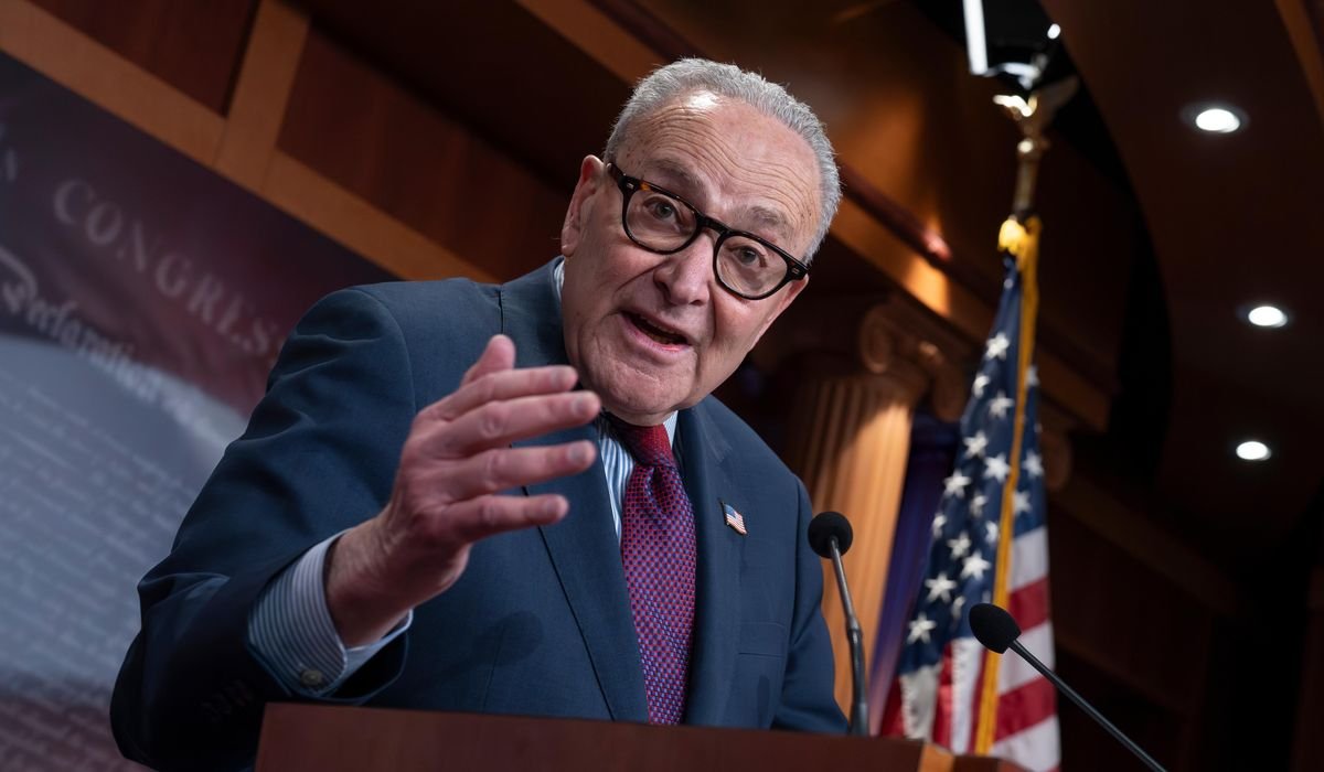 Chuck Schumer hailed anti-fraud ID laws in the 1990s, but now calls it 'Jim Crow' at the polls