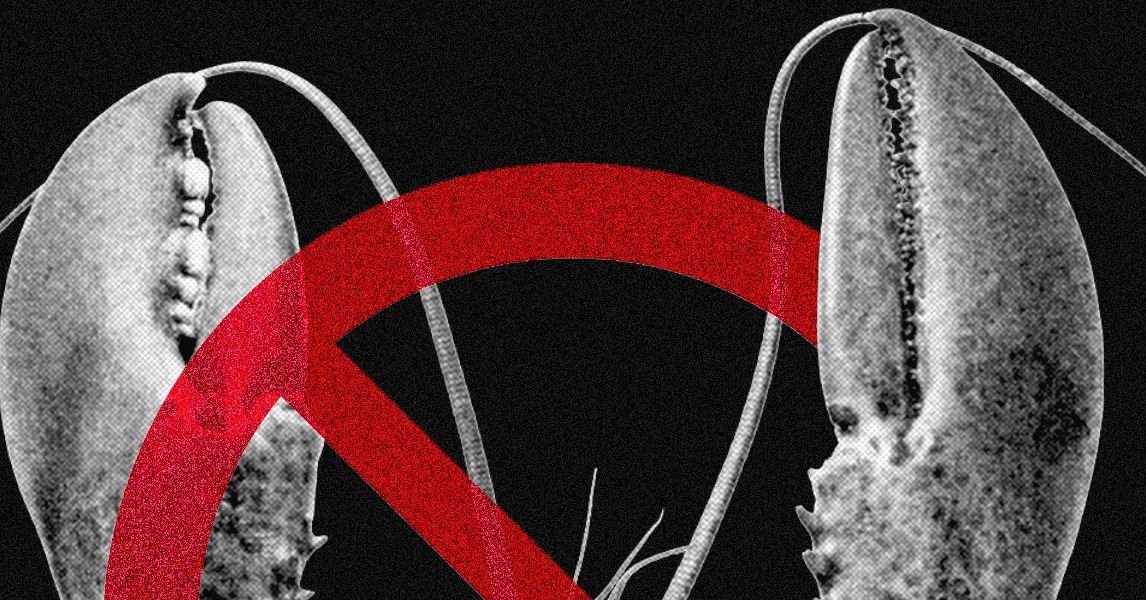 Meta and Other Tech Firms Put Restrictions on Use of OpenClaw Over Security Fears