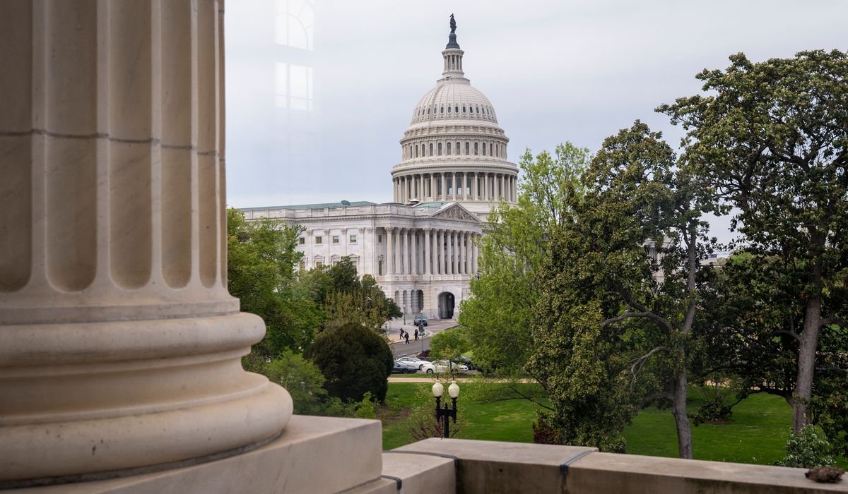 No law currently prevents Congress members from having dual citizenship