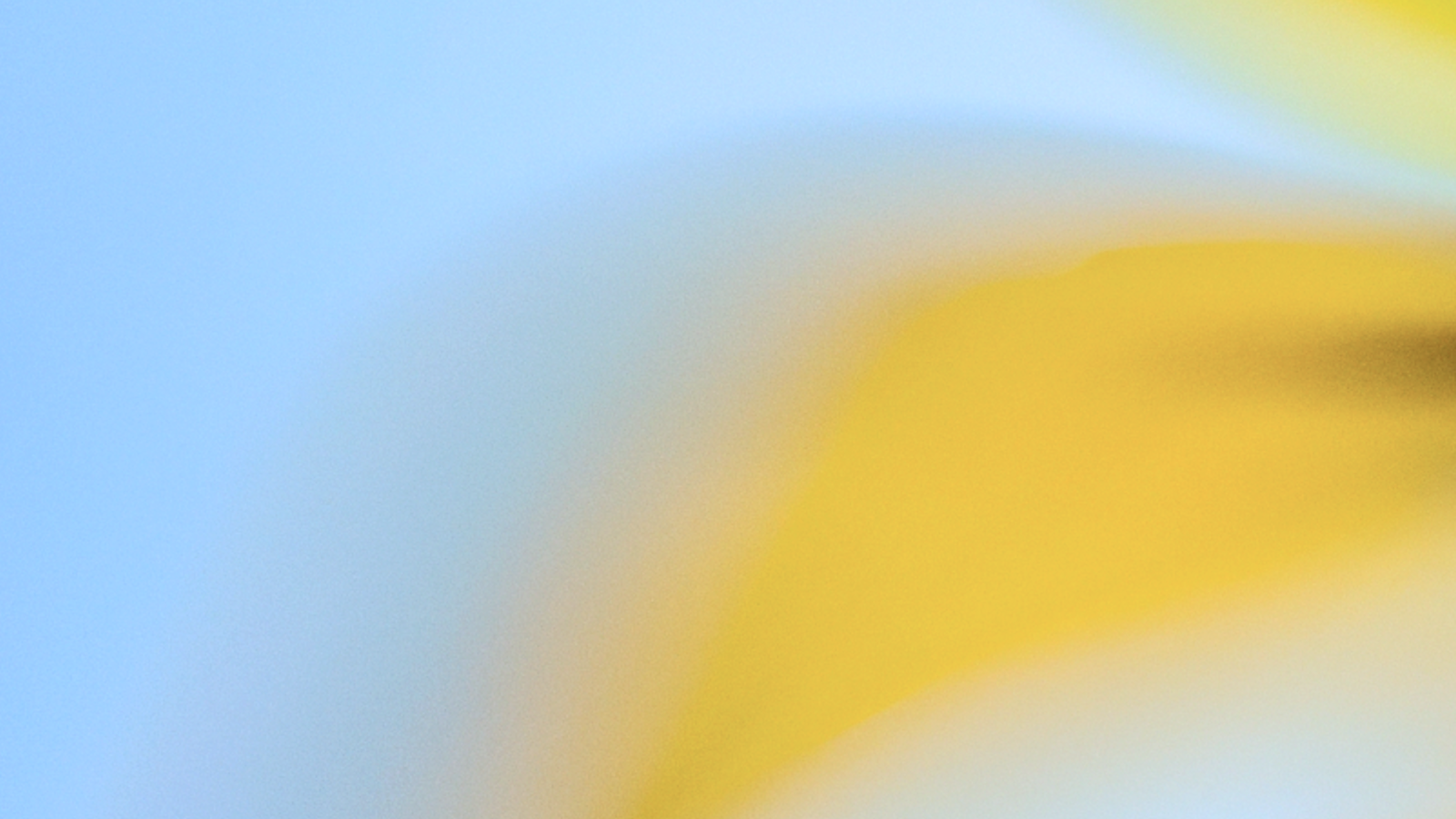 Our response to the Axios developer tool compromise